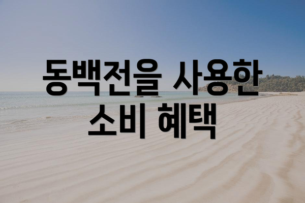 동백전을 사용한 소비 혜택