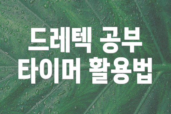드레텍 공부 타이머 활용법