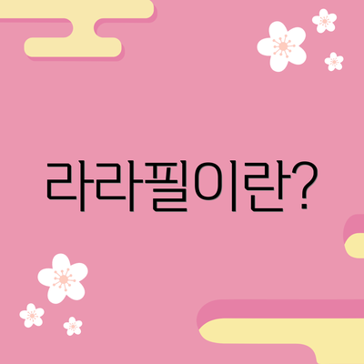 라라필이란?