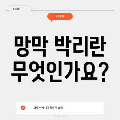 망막 박리란 무엇인가요?
