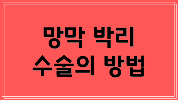 망막 박리 수술의 방법