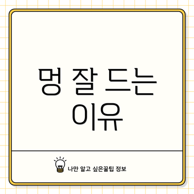멍 잘 드는 이유