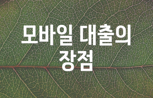 모바일 대출의 장점