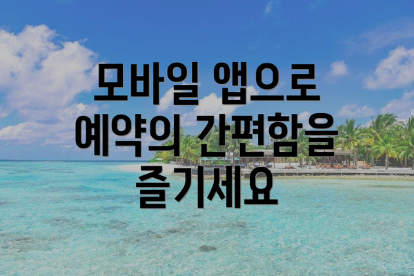 모바일 앱으로 예약의 간편함을 즐기세요