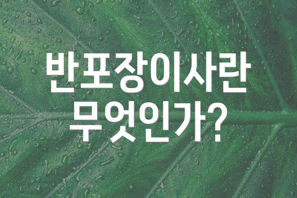 반포장이사란 무엇인가?