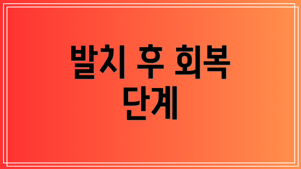 발치 후 회복 단계