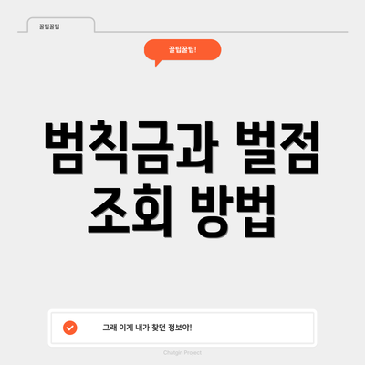 범칙금과 벌점 조회 방법