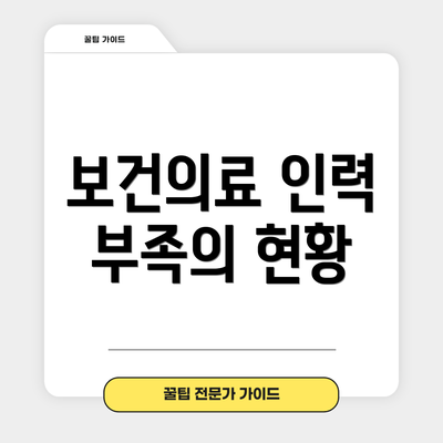 보건의료 인력 부족의 현황