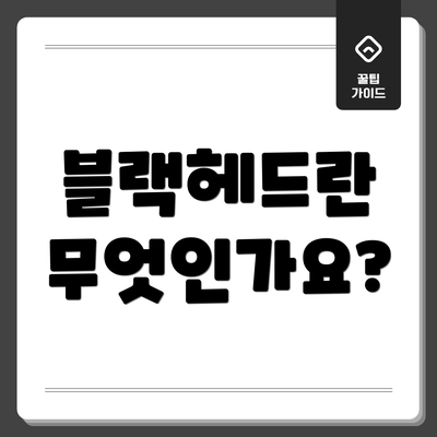 블랙헤드란 무엇인가요?