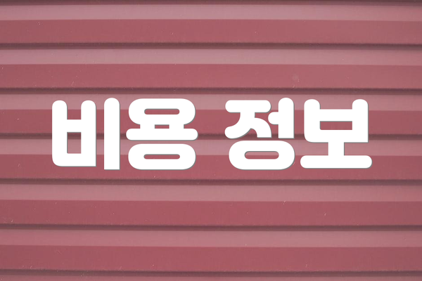 비용 정보