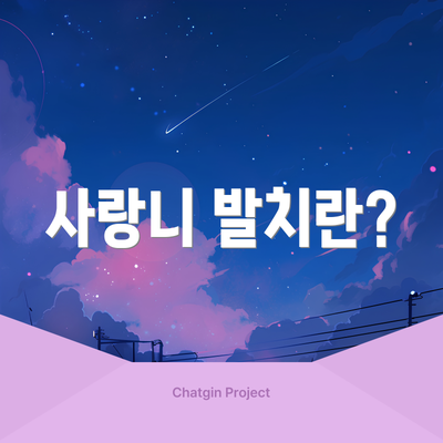 사랑니 발치란?