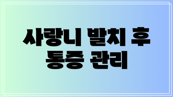 사랑니 발치 후 통증 관리