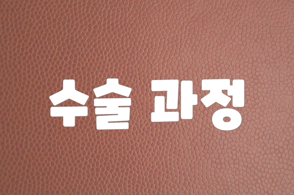 수술 과정