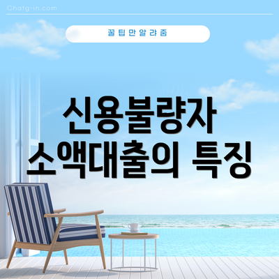 신용불량자 소액대출의 특징