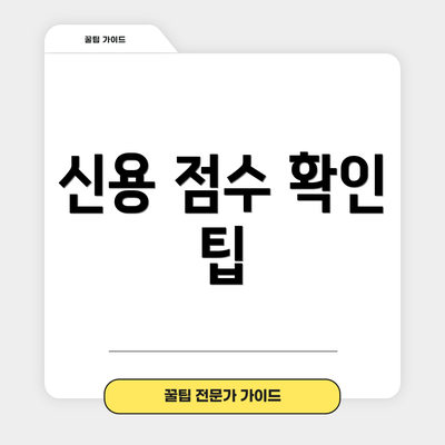 신용 점수 확인 팁