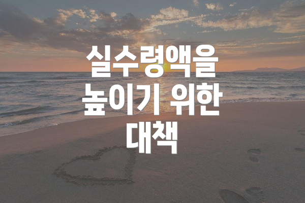 실수령액을 높이기 위한 대책