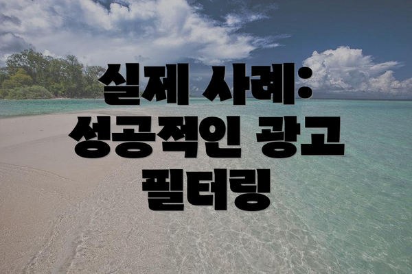 실제 사례: 성공적인 광고 필터링