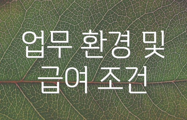 업무 환경 및 급여 조건