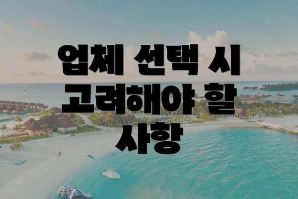 업체 선택 시 고려해야 할 사항
