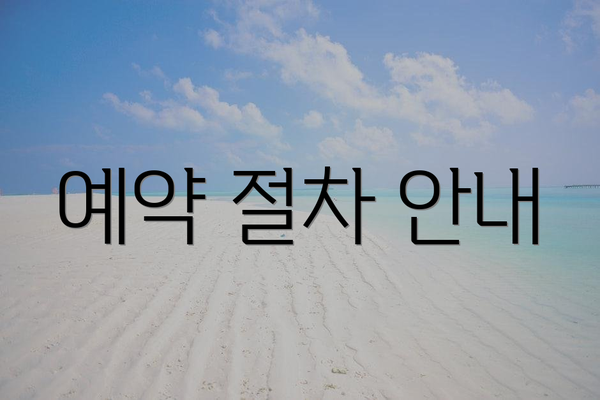 예약 절차 안내