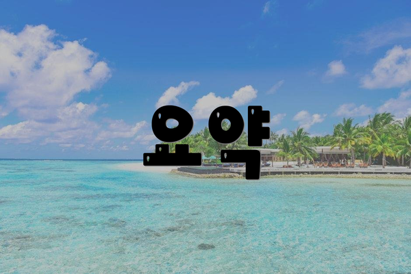 요약