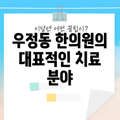 우정동 한의원의 대표적인 치료 분야