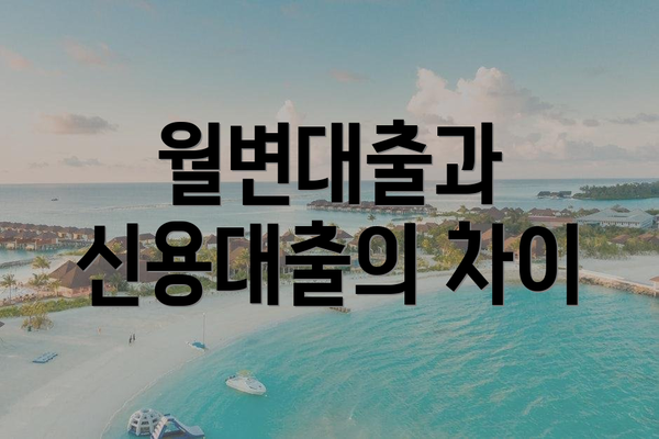 월변대출과 신용대출의 차이