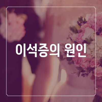 이석증의 원인