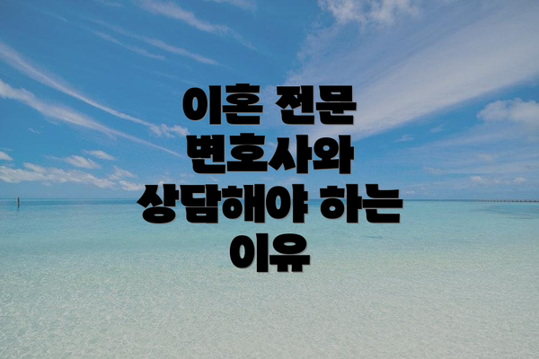 이혼 전문 변호사와 상담해야 하는 이유
