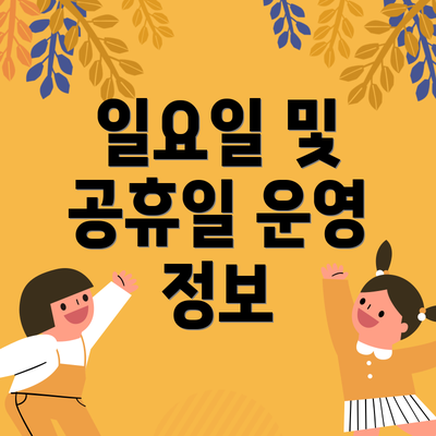 일요일 및 공휴일 운영 정보