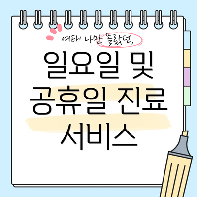 일요일 및 공휴일 진료 서비스