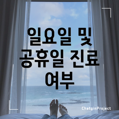 일요일 및 공휴일 진료 여부