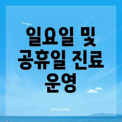 일요일 및 공휴일 진료 운영