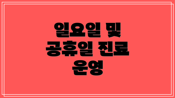 일요일 및 공휴일 진료 운영