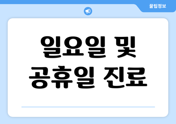 일요일 및 공휴일 진료