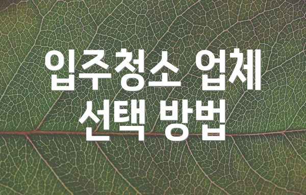 입주청소 업체 선택 방법