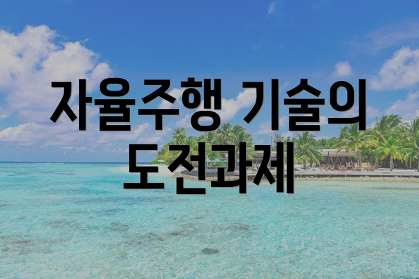 자율주행 기술의 도전과제