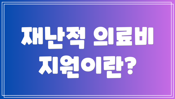 재난적 의료비 지원이란?