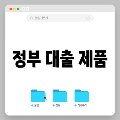 정부 대출 제품