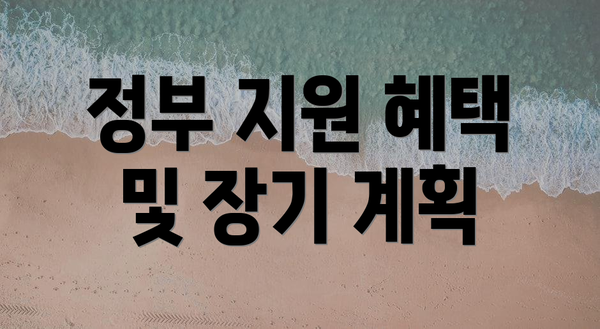 정부 지원 혜택 및 장기 계획