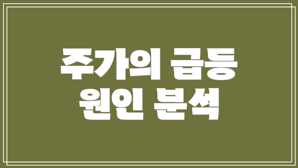 주가의 급등 원인 분석