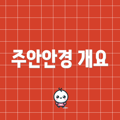 주안안경 개요