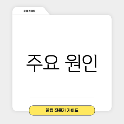 주요 원인