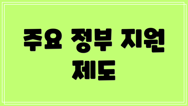 주요 정부 지원 제도