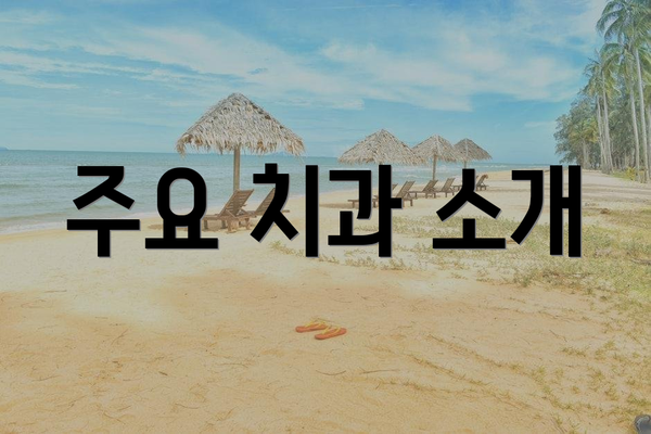 주요 치과 소개