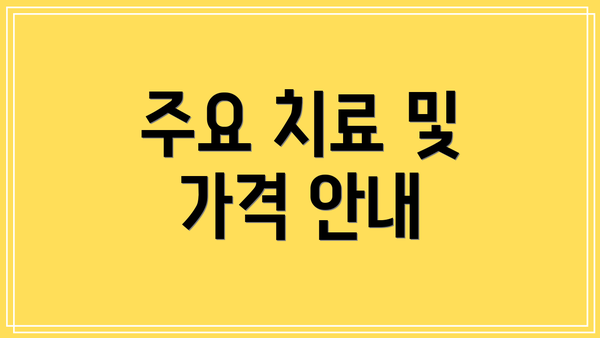 주요 치료 및 가격 안내