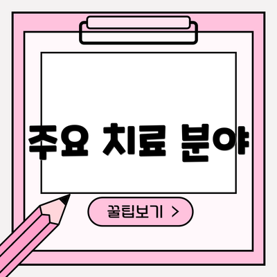 주요 치료 분야