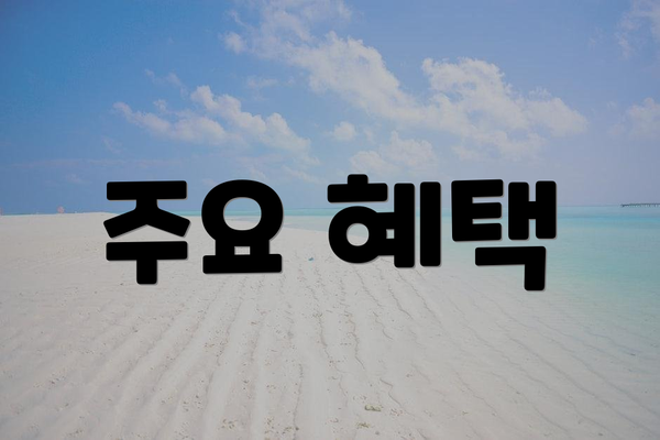 주요 혜택
