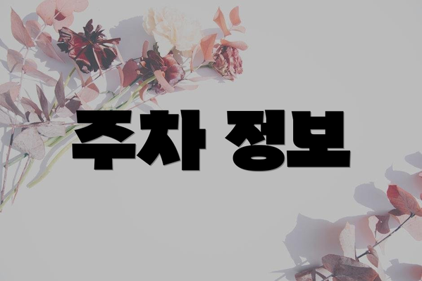 주차 정보