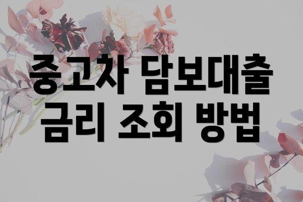 중고차 담보대출 금리 조회 방법